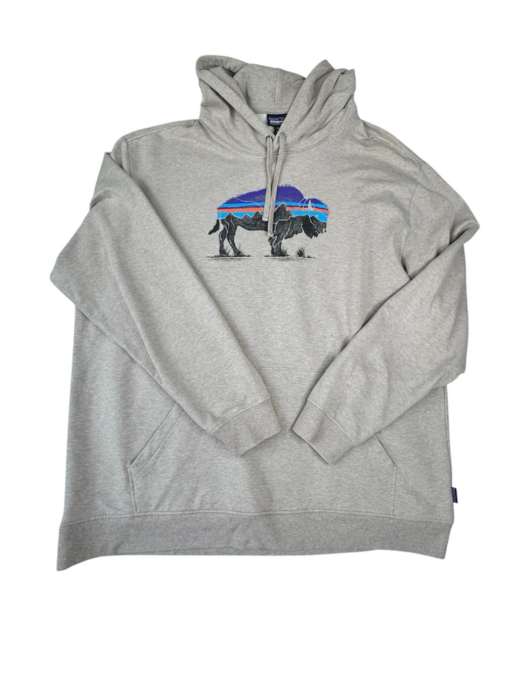 Patagonia Fitz Roy Bison Uprisal Hoodie Size XXL Organic Cotton